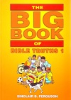 Big Book of Bible Truths vol 1